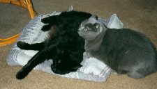 Mvc-014a.jpg (7881 bytes)