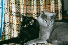 Mvc-016b.jpg (13478 bytes)